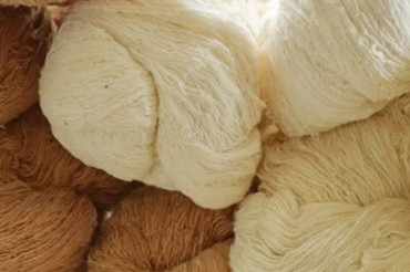Overview Of Natural Fibers: Definition, Characteristics And Types